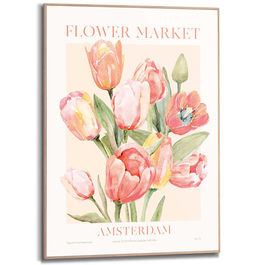 Framed in Wood Tulip Market Amsterdam 70x50