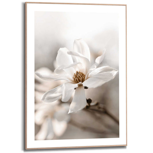 Framed in Wood Close Up White 70x50