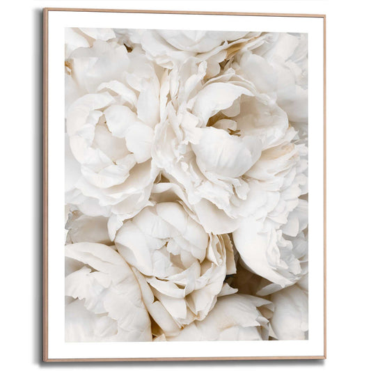 Framed in Wood Bed of White Roses 50x40