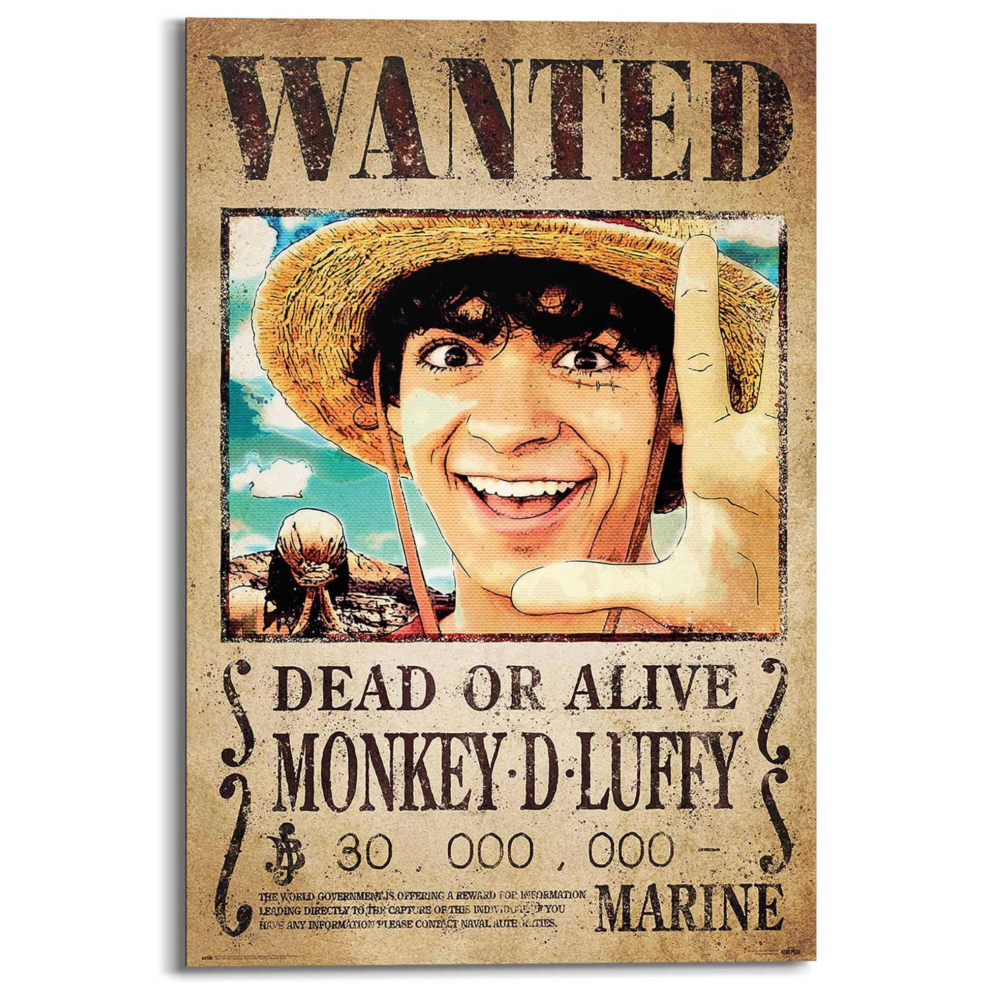 Painting One Piece - wanted monkey d. Luffy 90x60