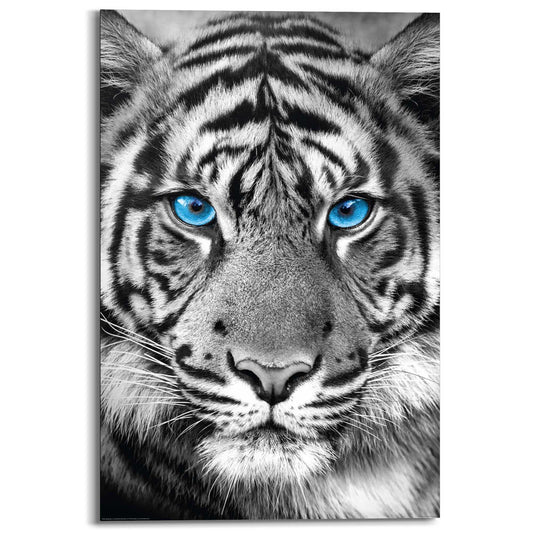 Painting Tiger Blue Eyes 90x60