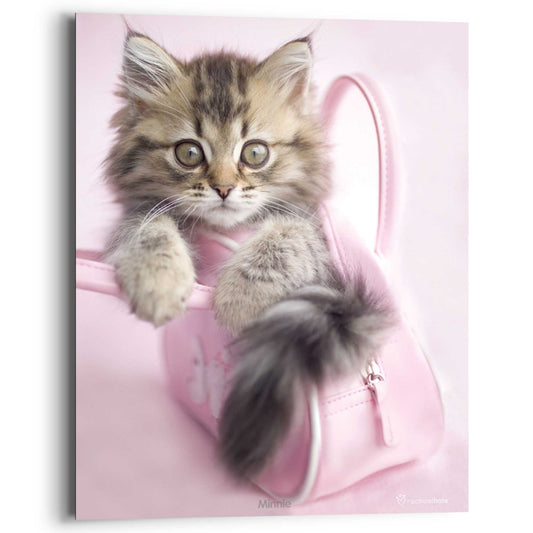 Painting Rachel Hale - Minnie 50x40