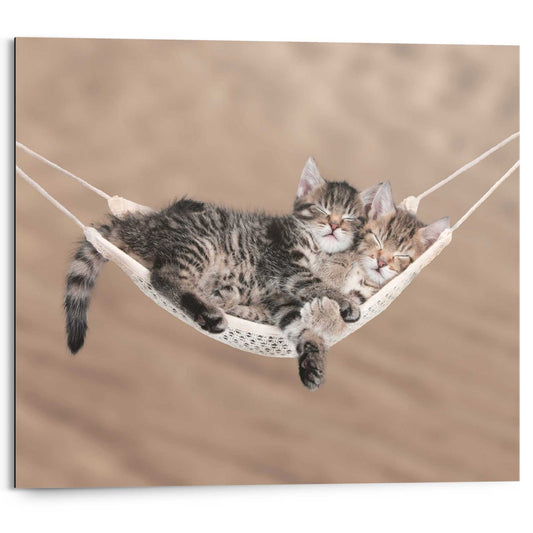 Painting Kitty Hammock 40x50