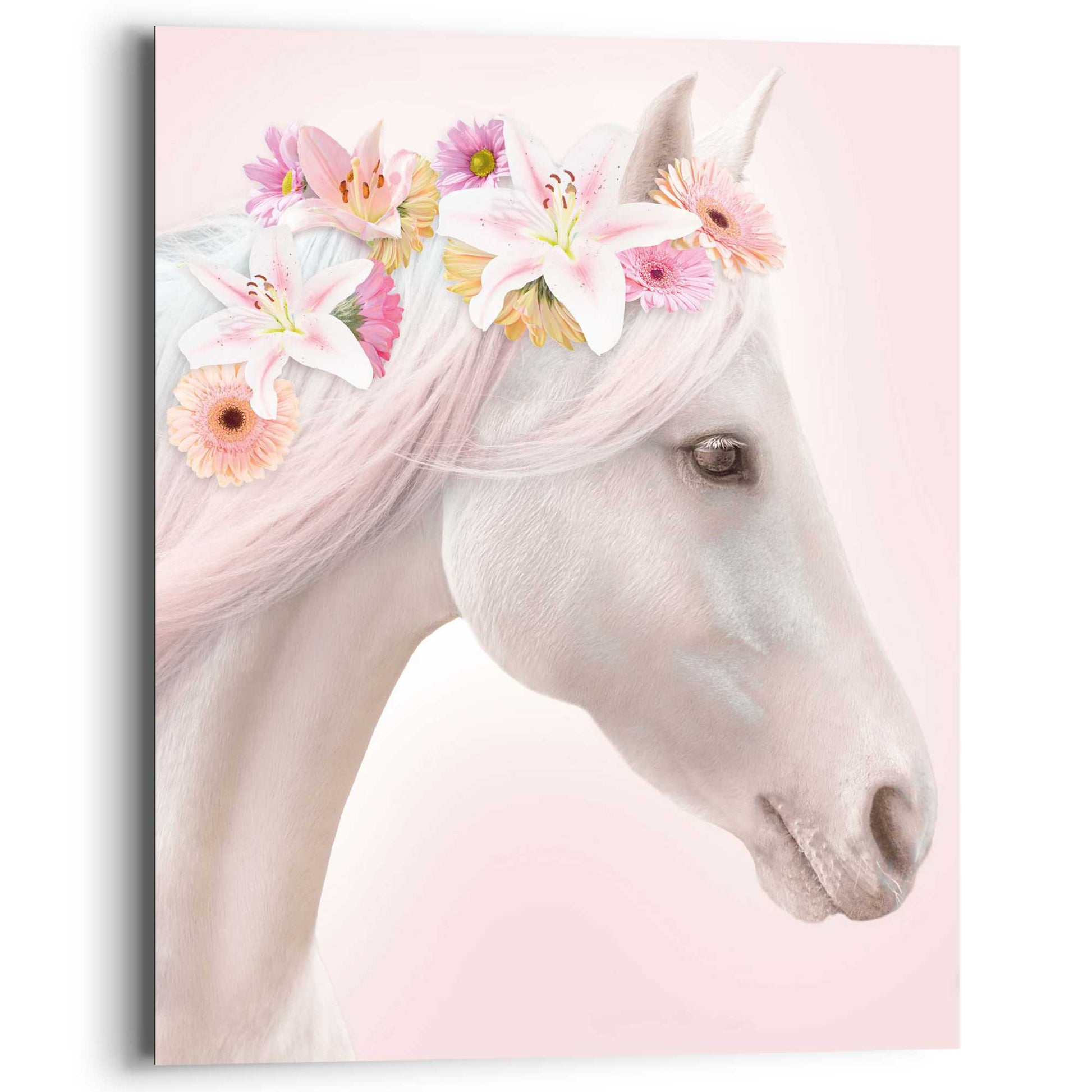 Painting Horse Flowers 50x40