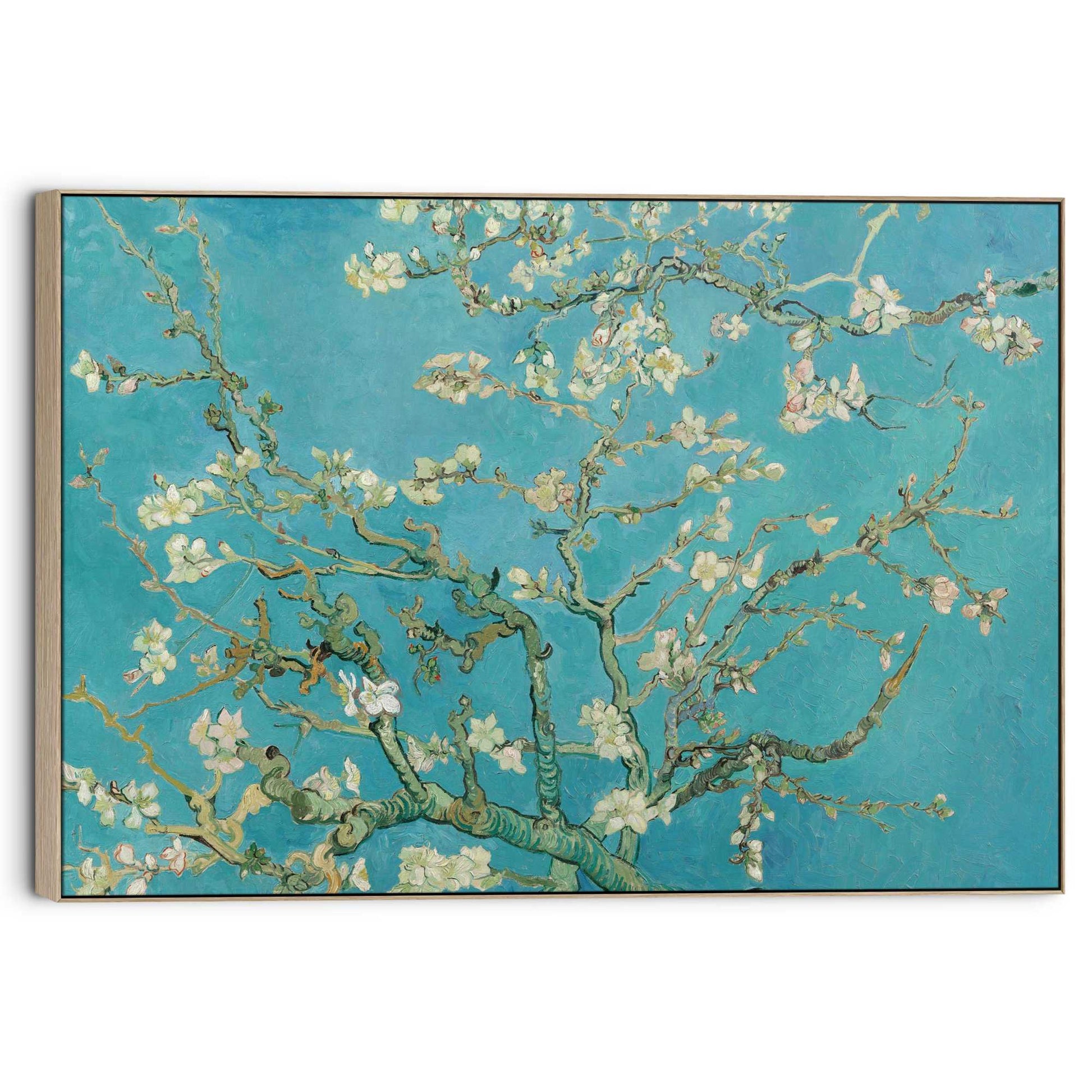 Canvas Van Gogh - almondblossom 70x100