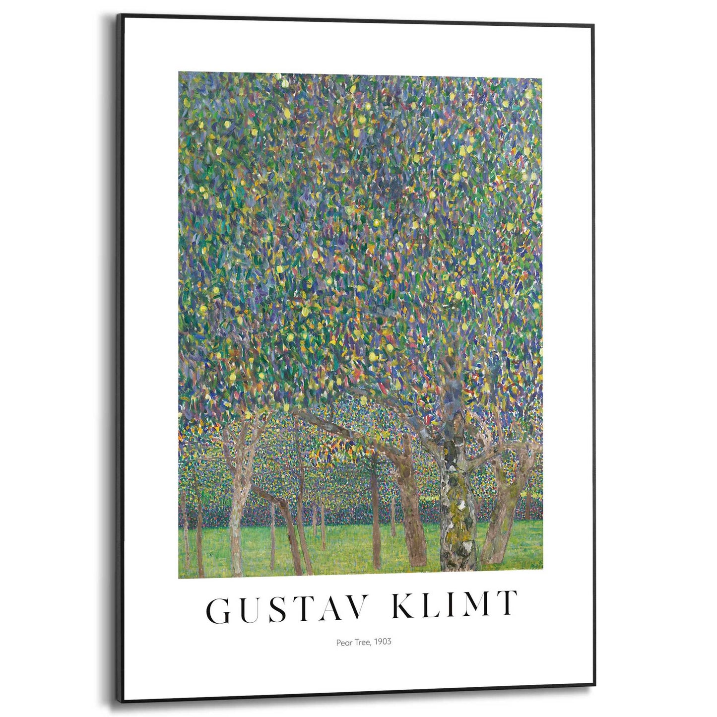 Framed in Black Gustav Klimt - pear tree 70x50