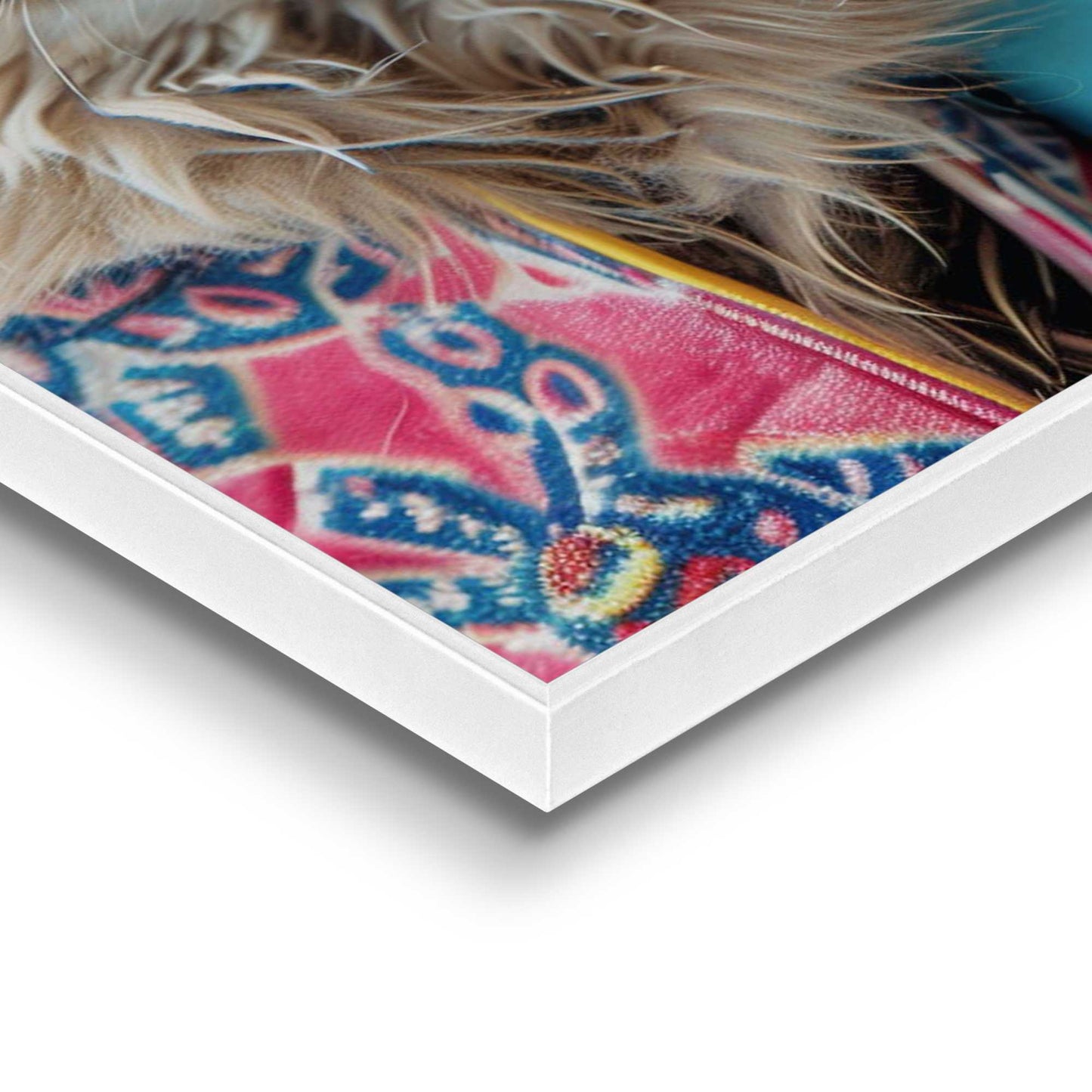 Framed in White Cat Band 50x70