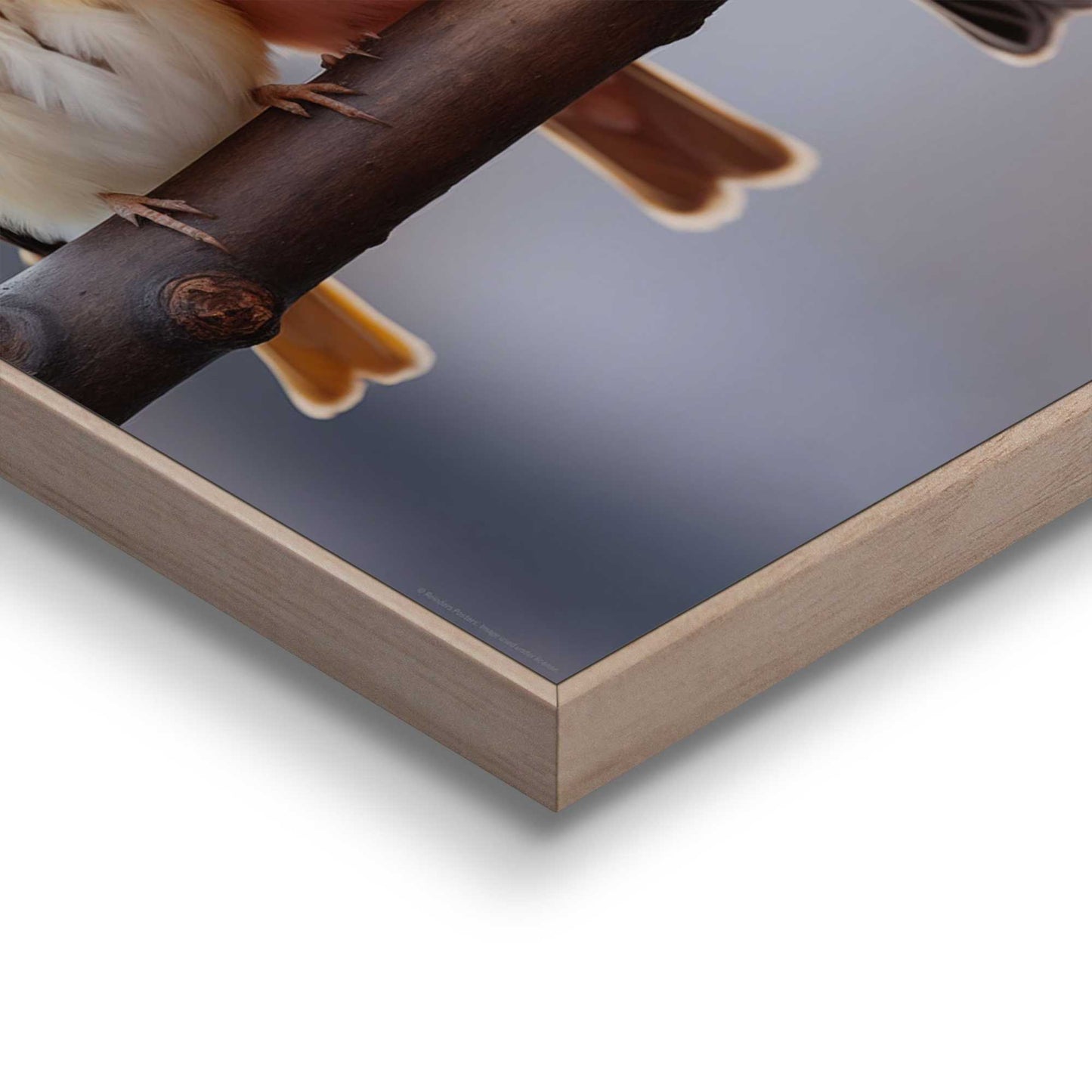 Framed in Wood Birds in Pastel Colours 40x50