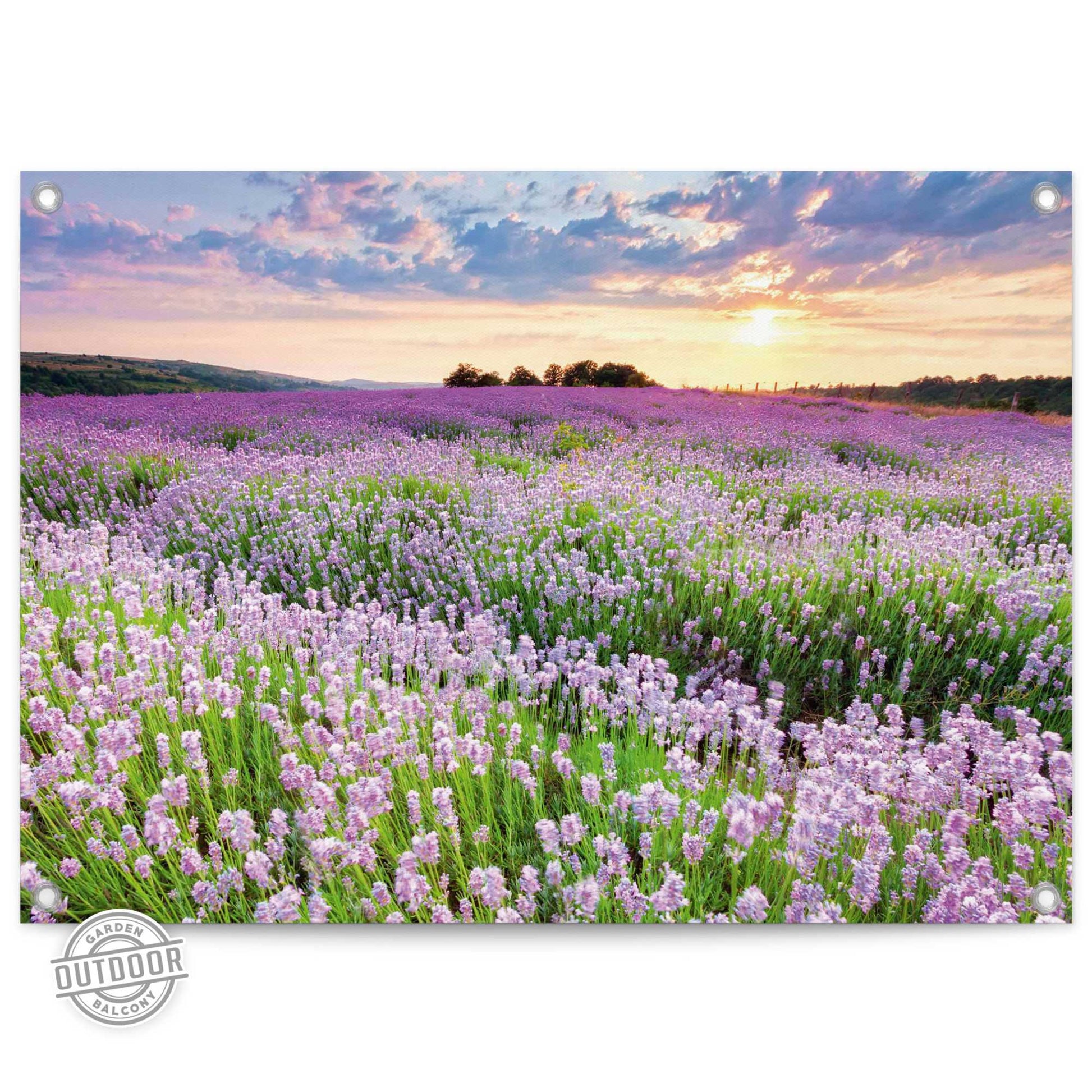 Outdoor Art Sunset Lavender Field 50x70