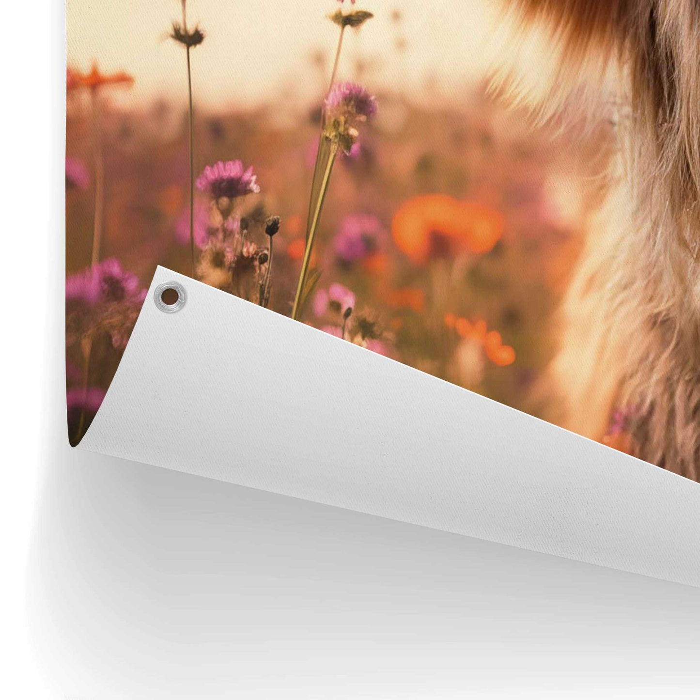 Outdoor Art Flower Field Highlander 50x70