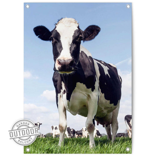 Outdoor Art Summer Meadow Cow 70x50