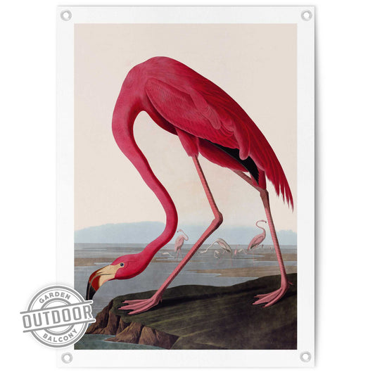 Outdoor Art Audubon Flamingo 70x50