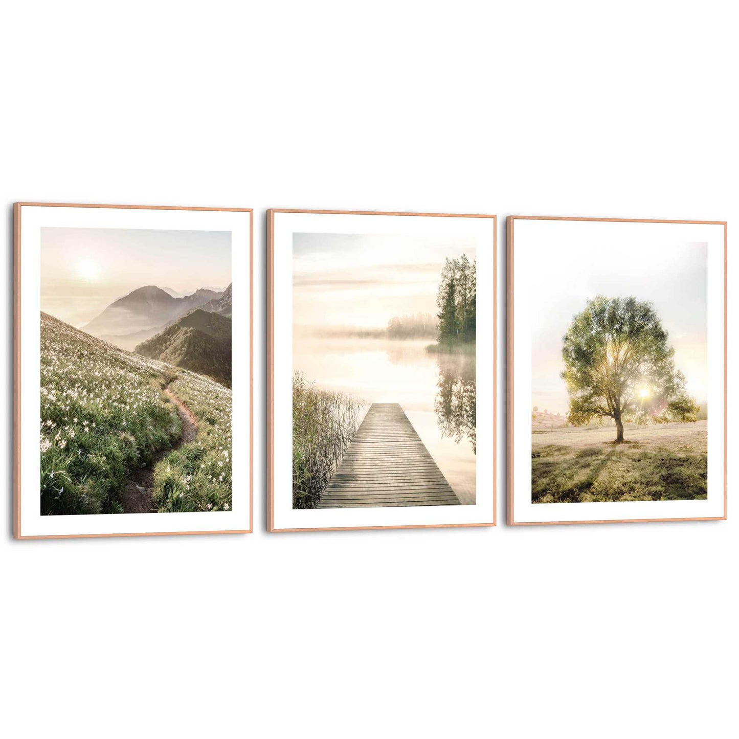 Framed in Wood In nature 40x30