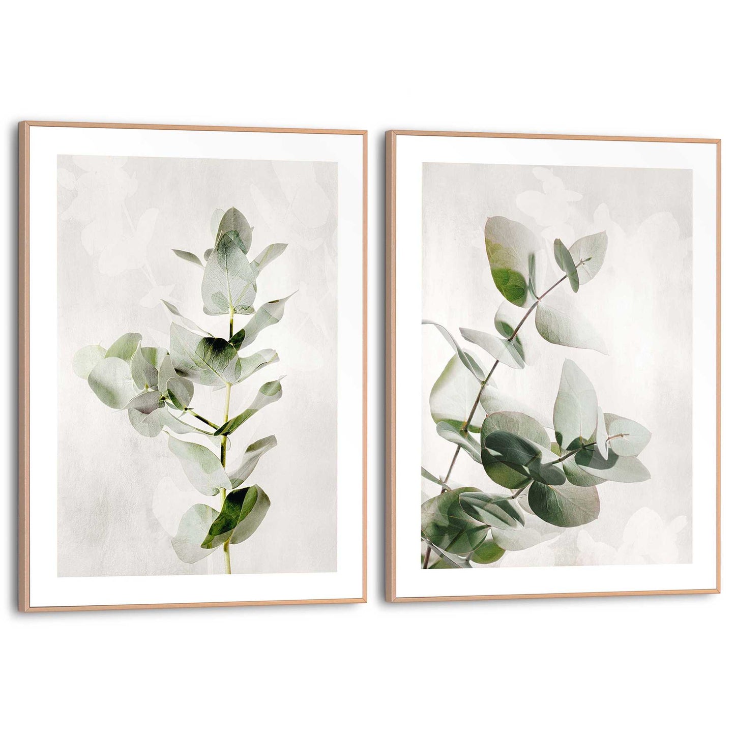 Framed in Wood Eucalyptus 40x30