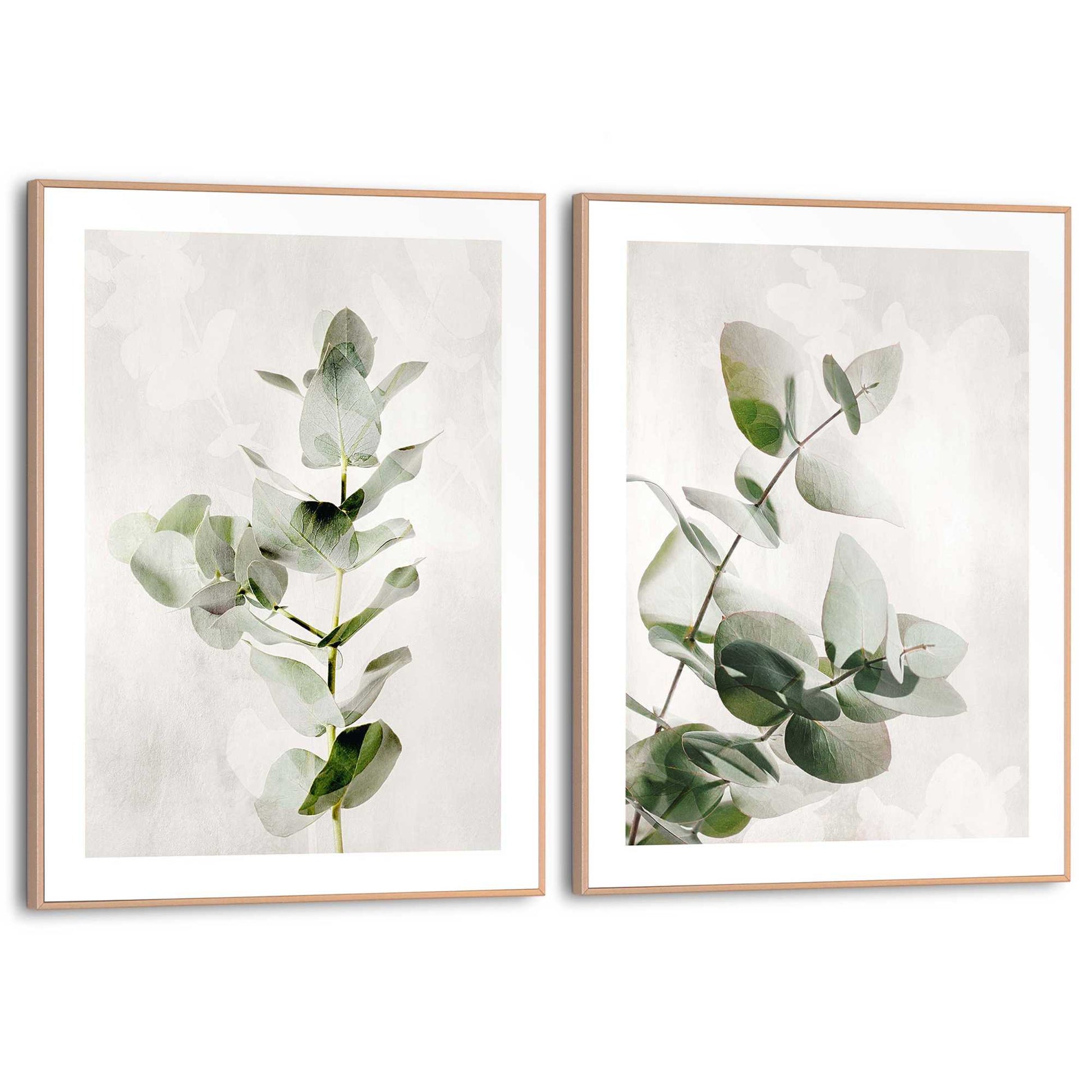 Framed in Wood Eucalyptus 40x30