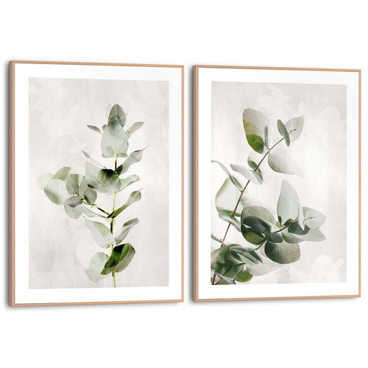 Framed in Wood Eucalyptus 40x30