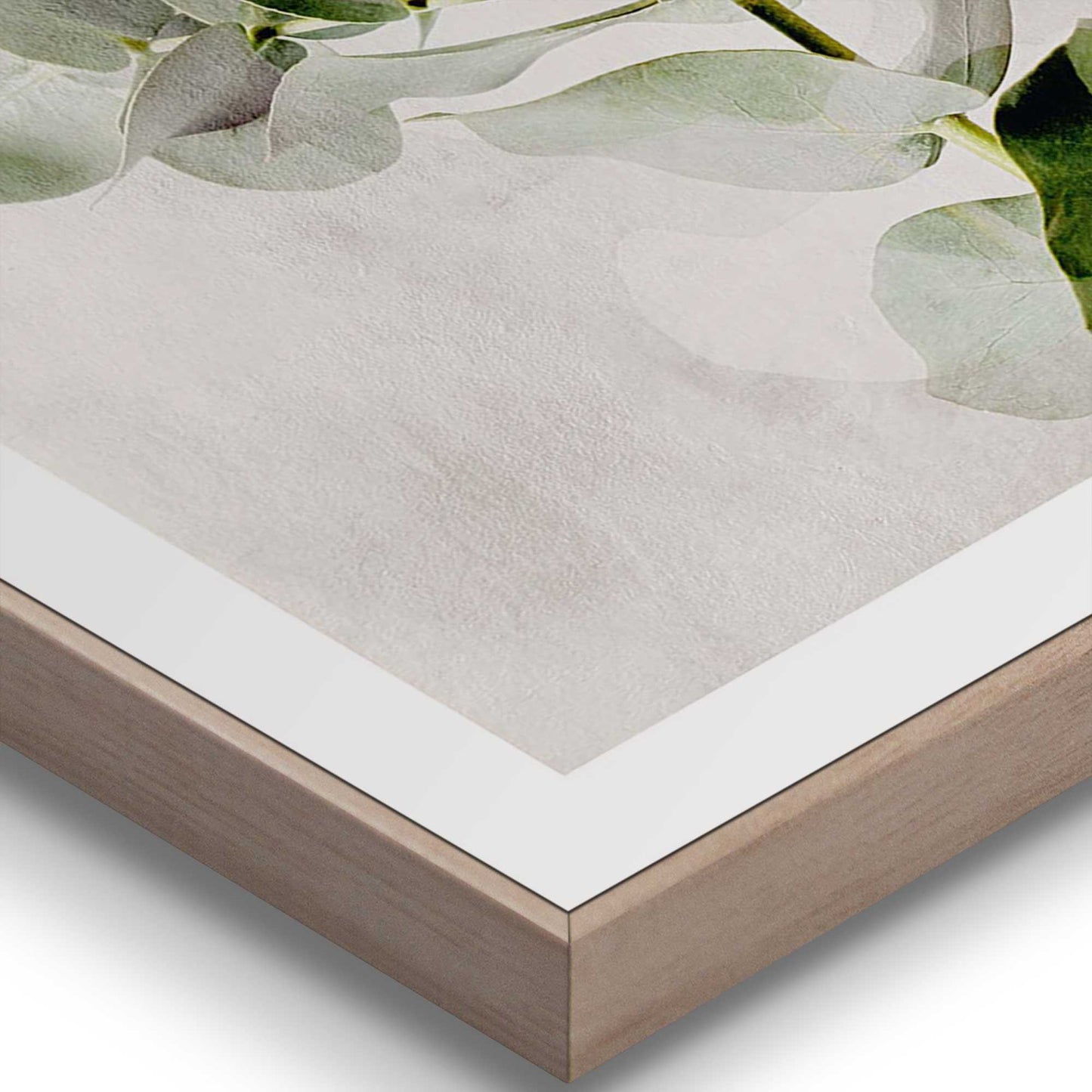 Framed in Wood Eucalyptus 40x30