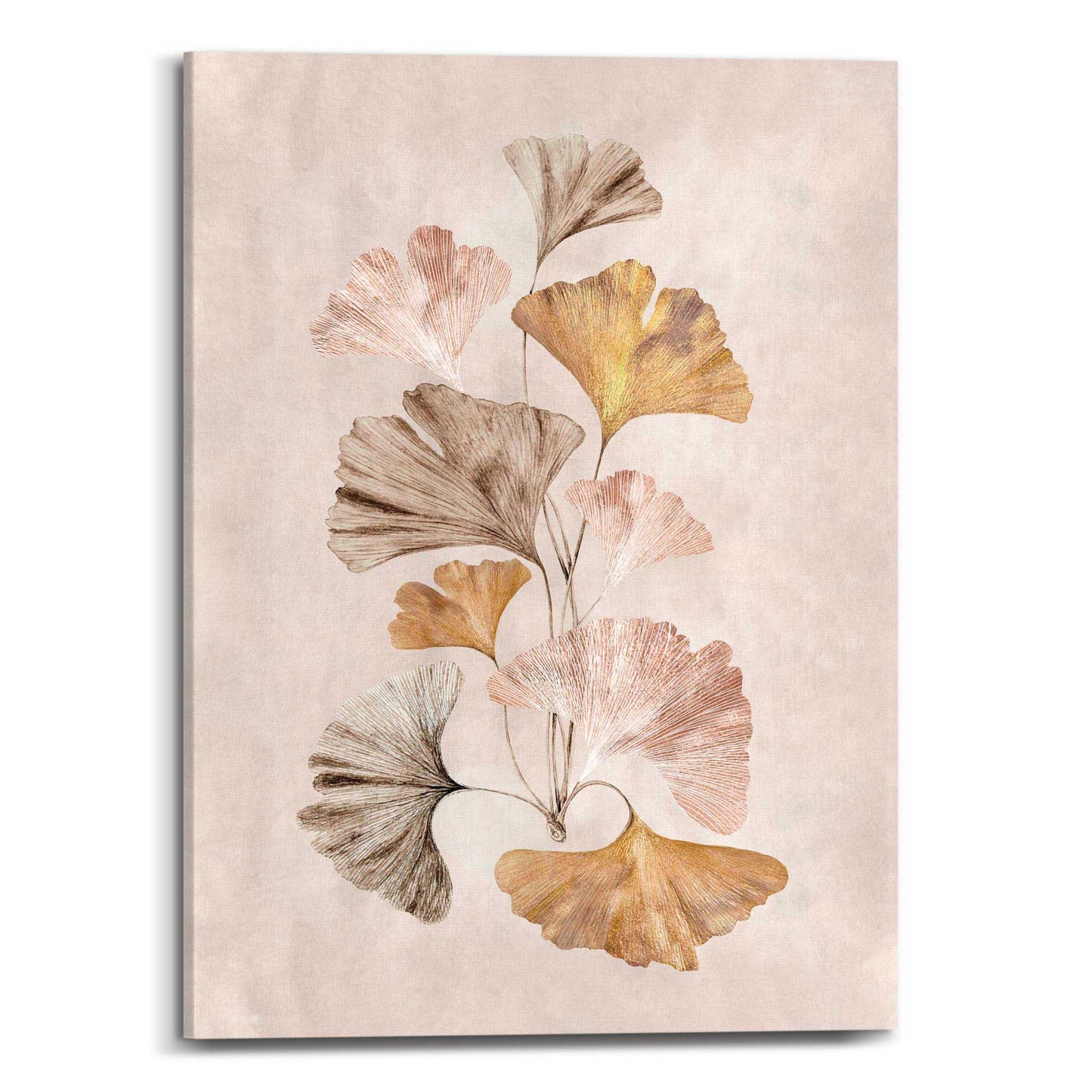 Canvas Ginkgo Leaves 70x50
