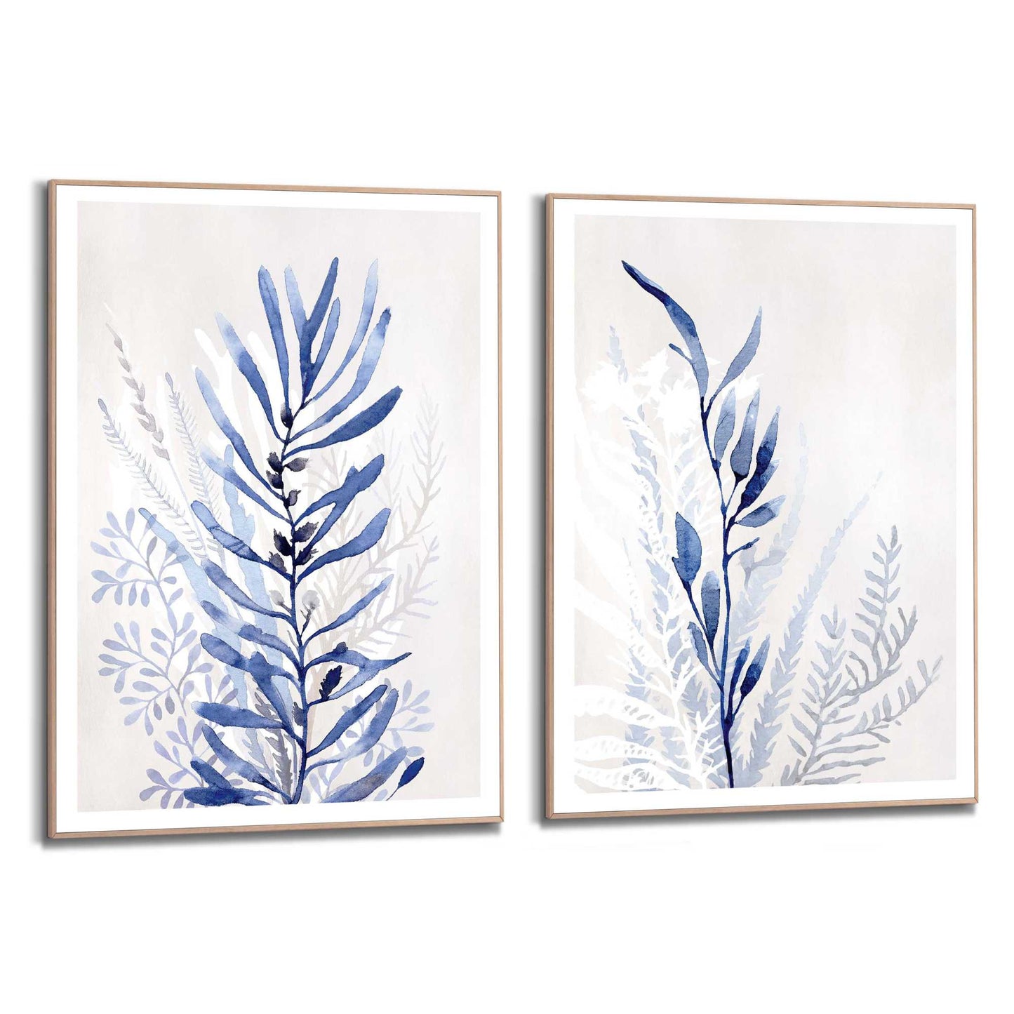 Framed in Wood Sea Plant 70x50