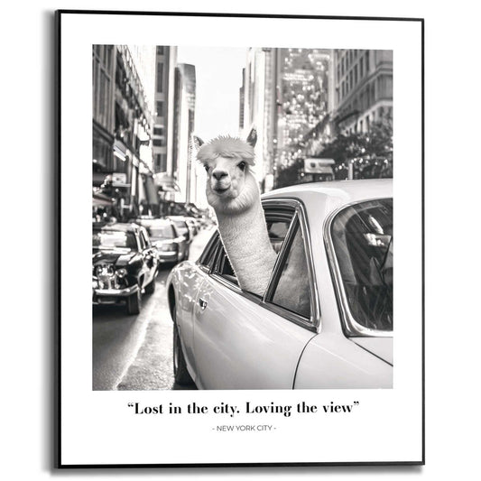 Framed in Black Alpaca New York 50x40