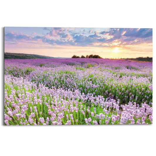 Painting Lavenderfield 60x90