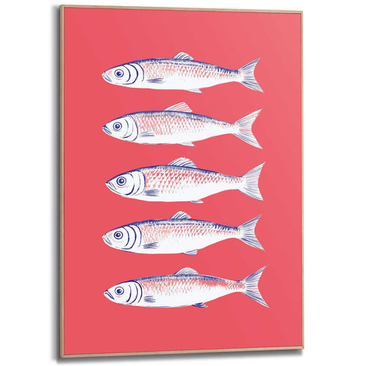 Framed in Wood Sardines 70x50