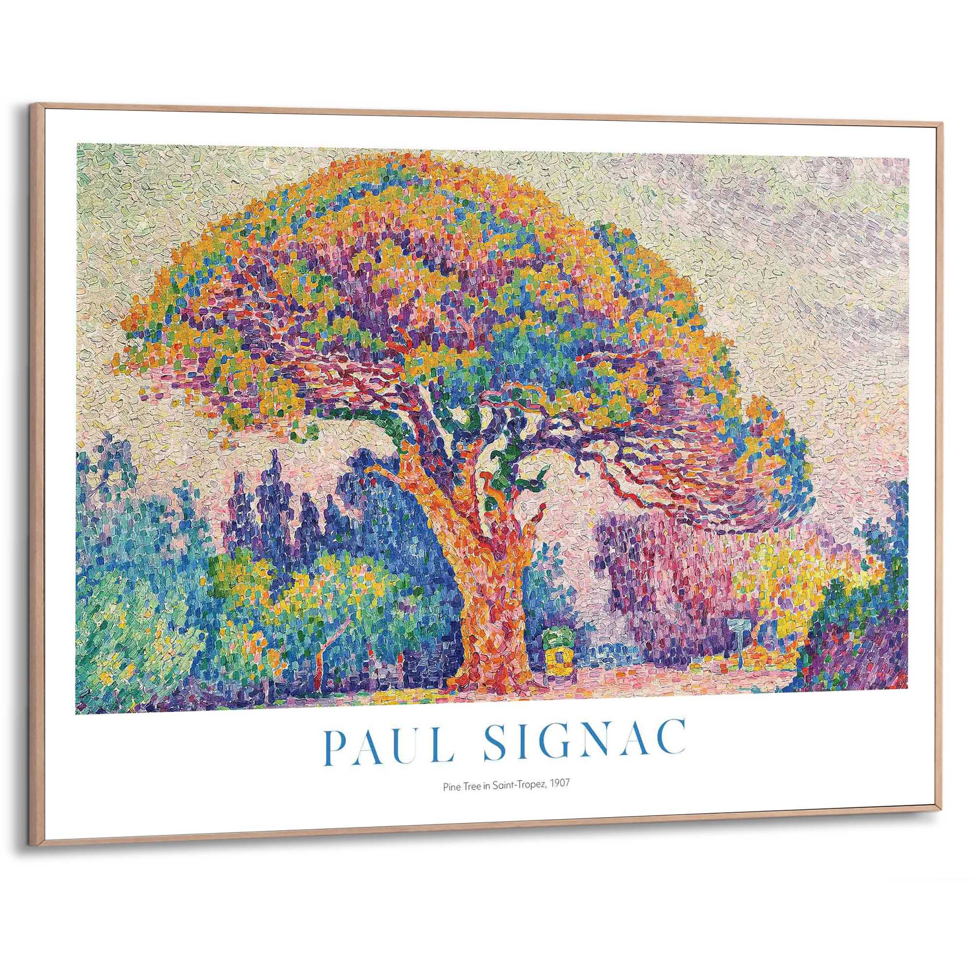 Framed in Wood Paul Signac - pine tree in Saint-Tropez 50x70