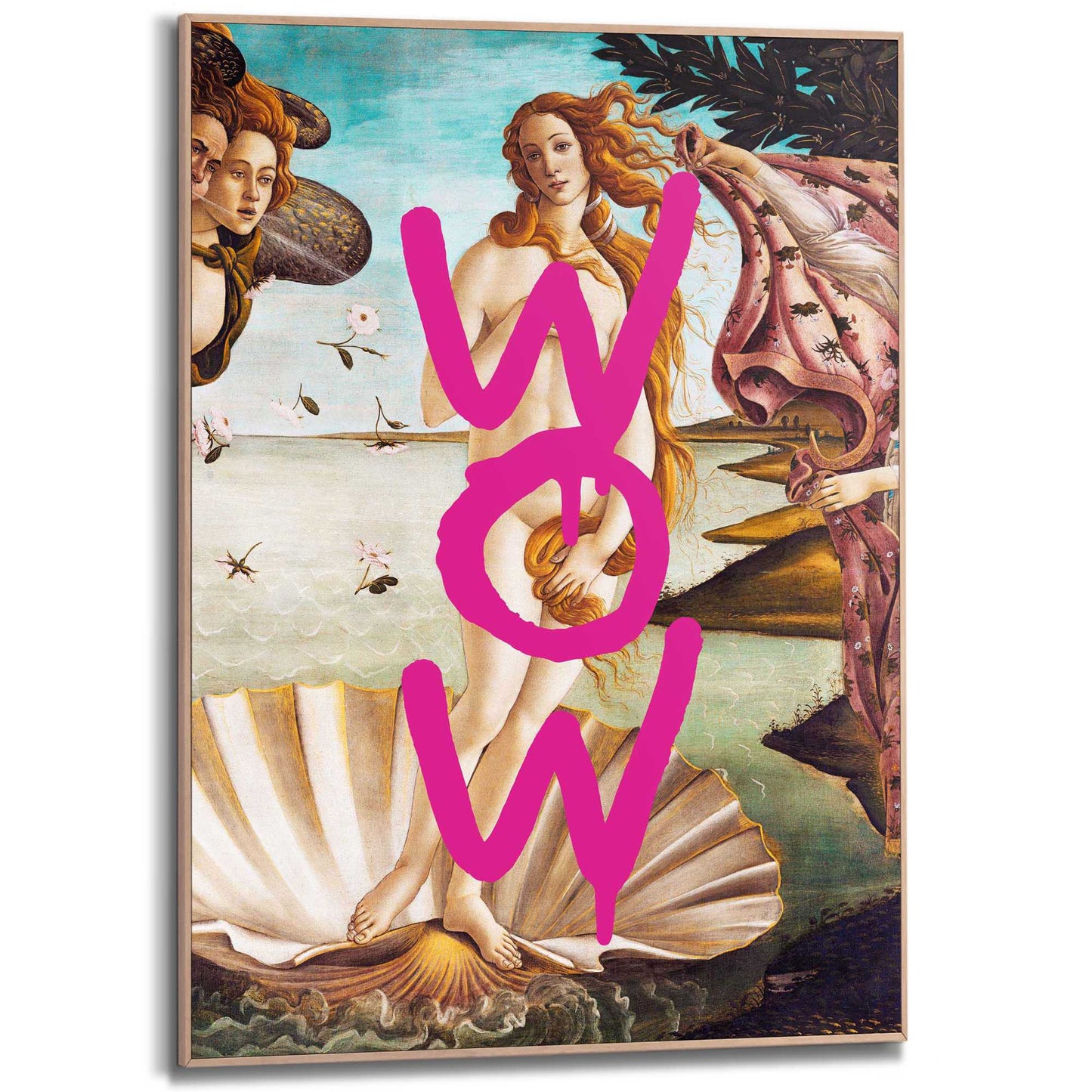 Framed Poster Venus Wow 70x50