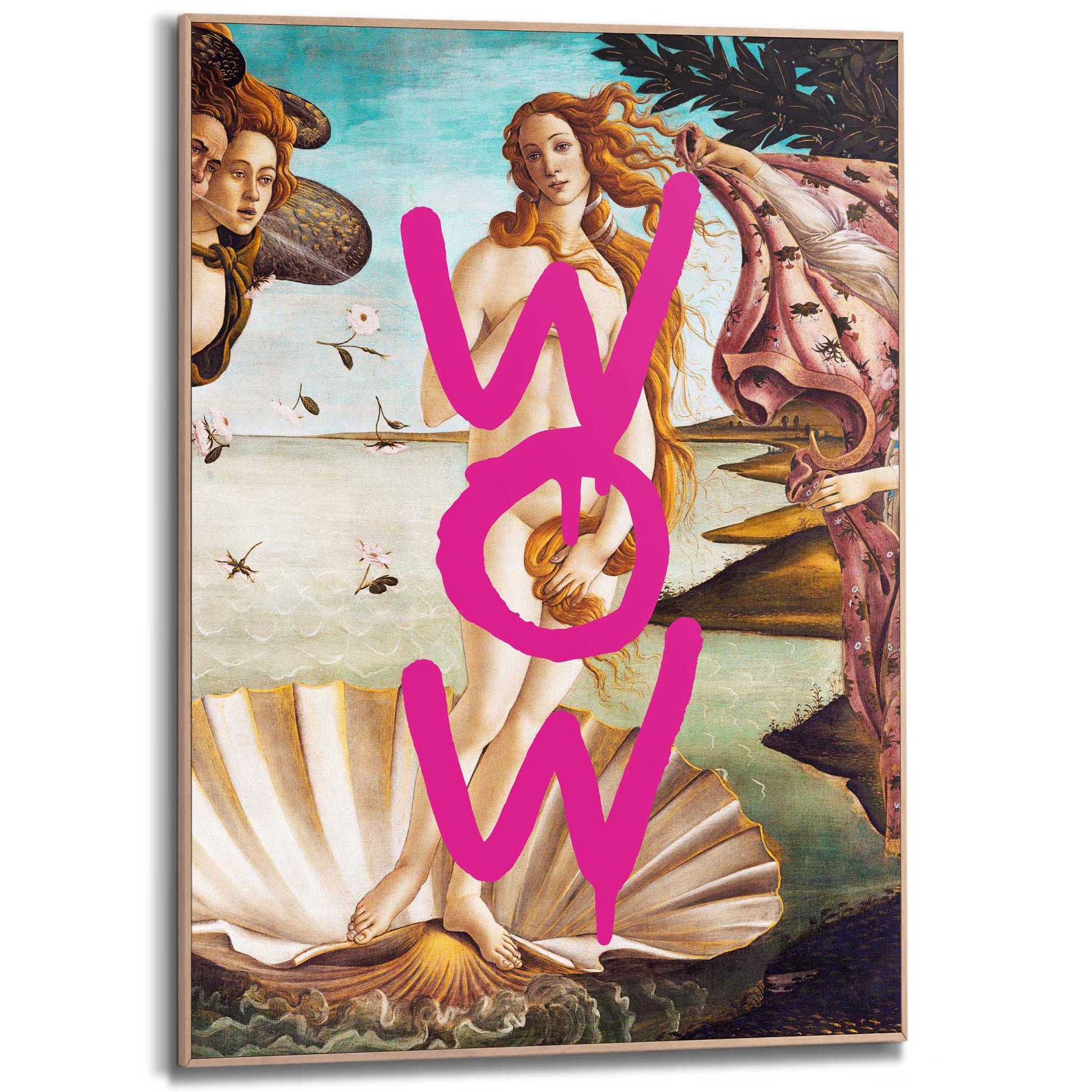 Framed Poster Venus Wow 70x50