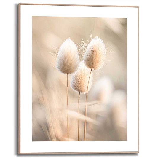 Framed Poster Grass Trio 50x40