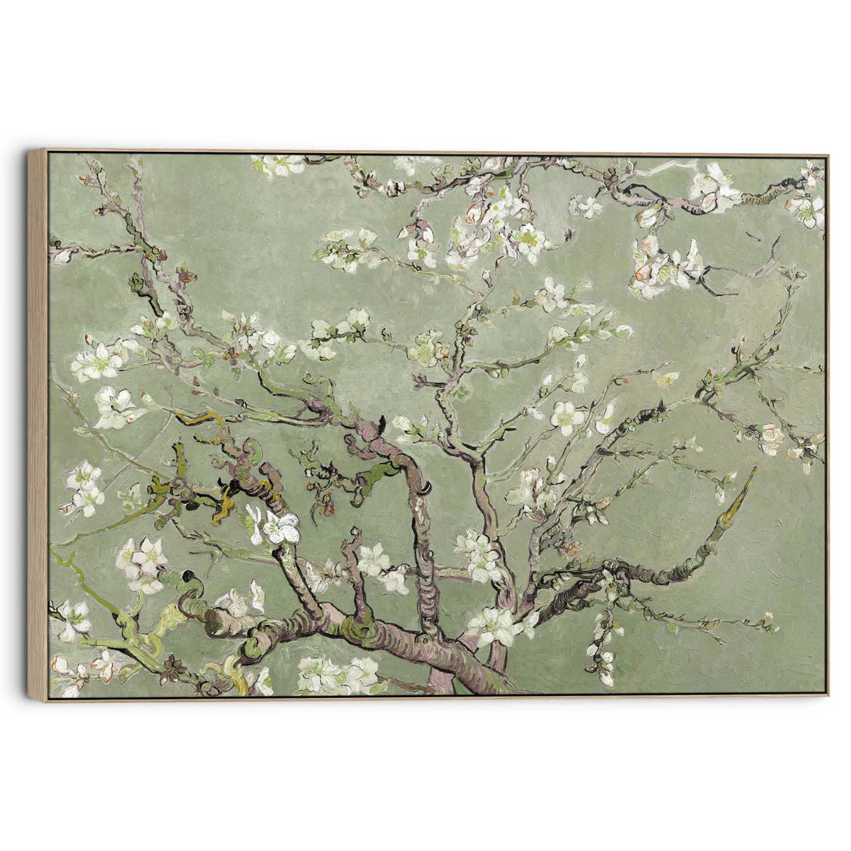Canvas Van Gogh - almondblossom green 70x100