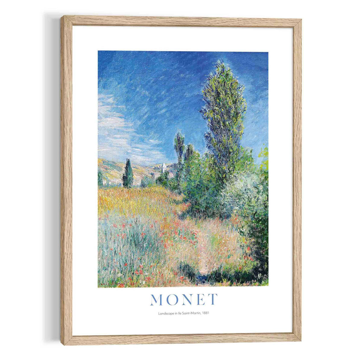 Framed Art Box Monet - landscape in Ile Saint-Martin 70x50