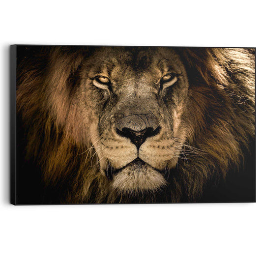 Wall Art Panel Looking Lion 60x90