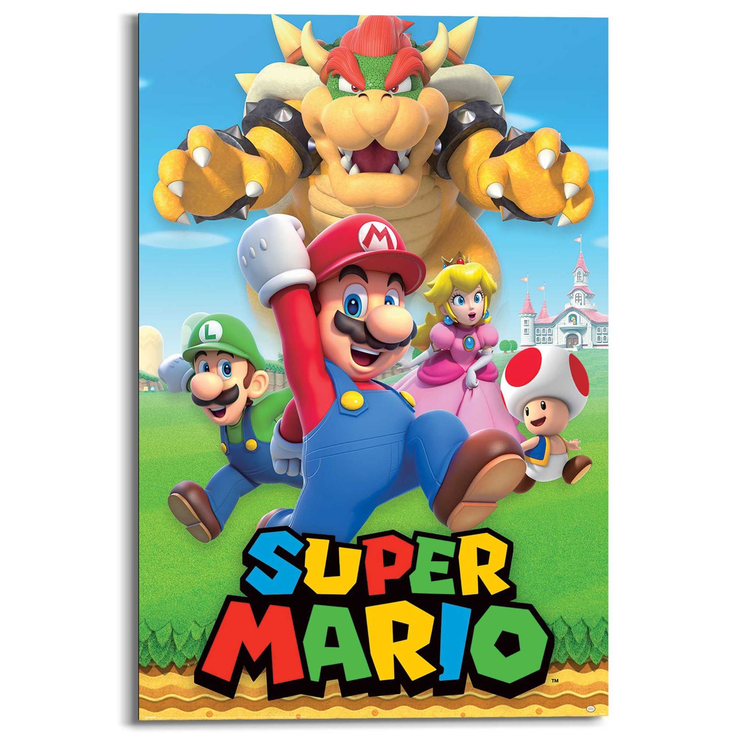 Wall Art Panel Super Mario - character montage 90x60