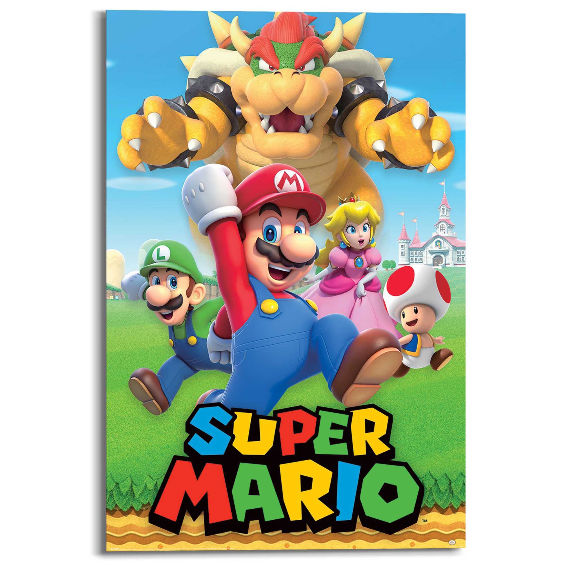 Wall Art Panel Super Mario - character montage 90x60