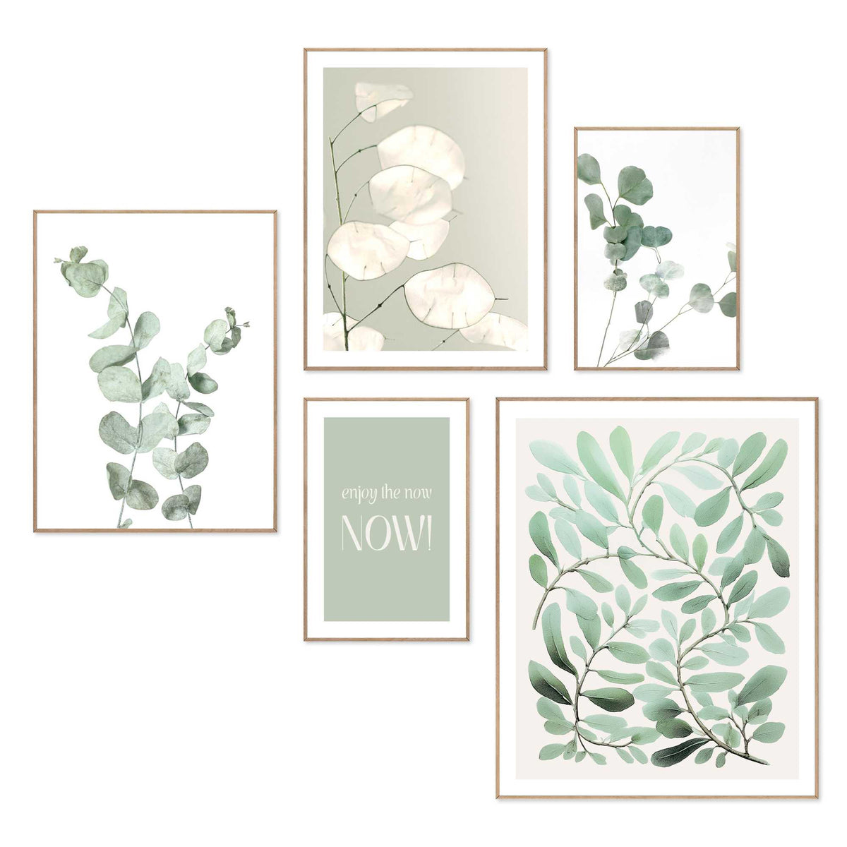 Framed Poster Botanic Serenity 50x40