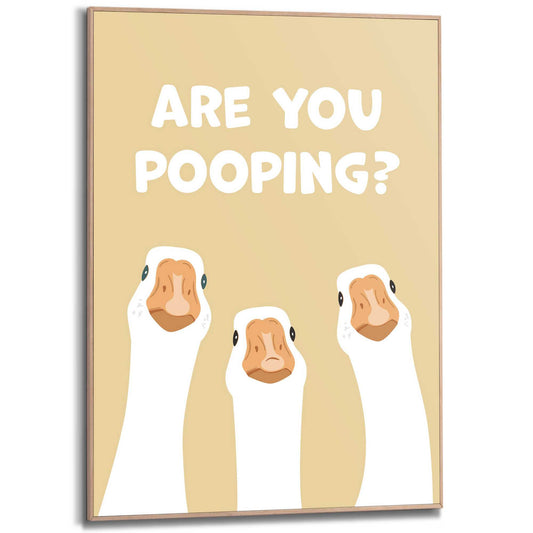 Framed Poster Nosy geese 70x50