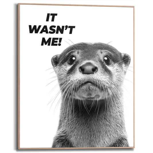Framed Poster Otter-ly innocent 50x40