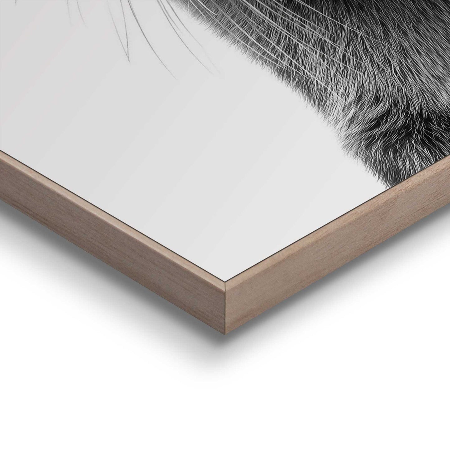 Framed Poster Otter-ly innocent 50x40