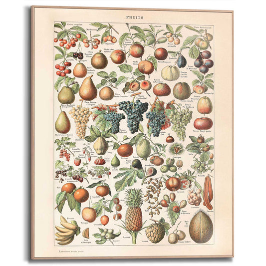 Framed Poster All the fruits 50x40