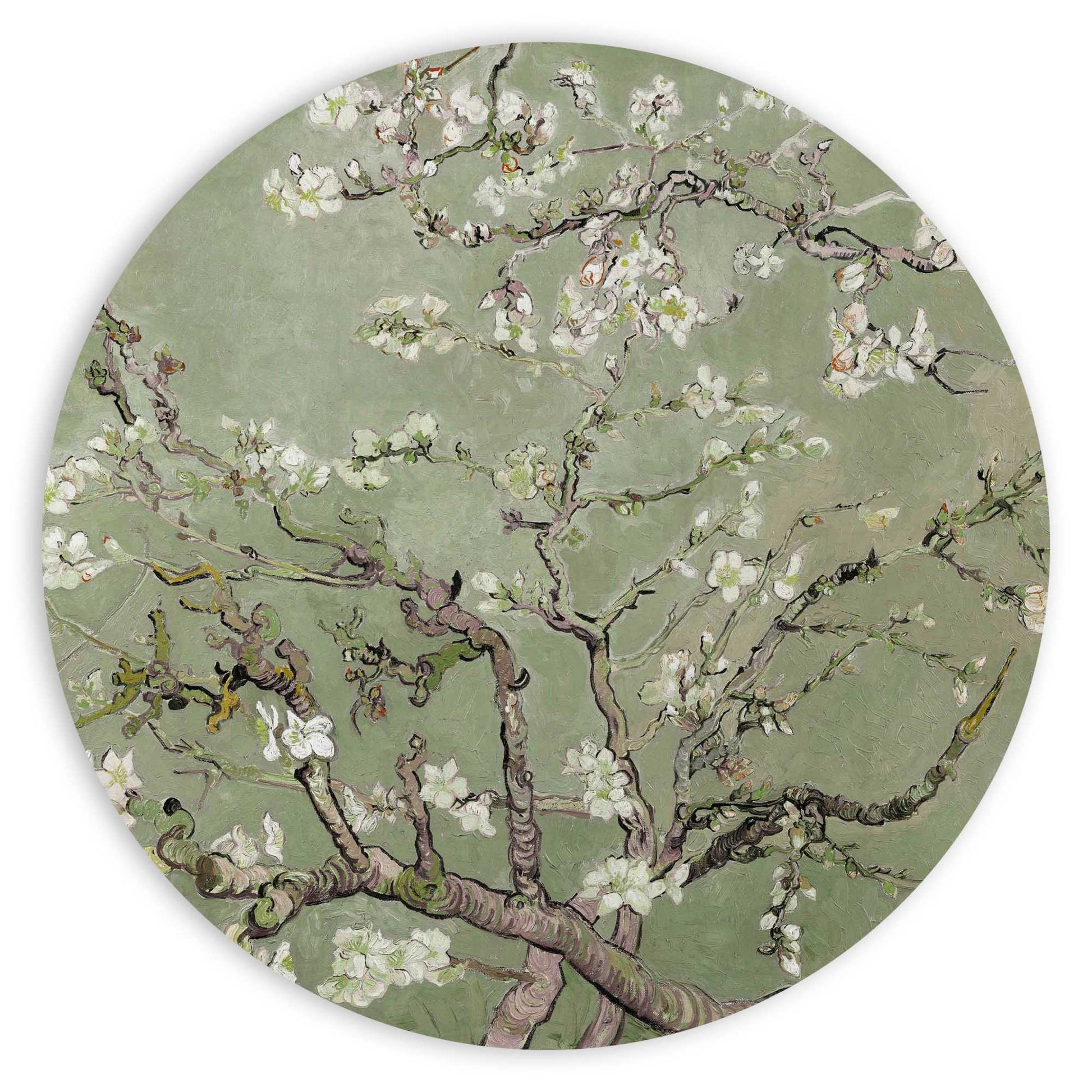 Circle Art Almondblossom green by Van Gogh 50x50