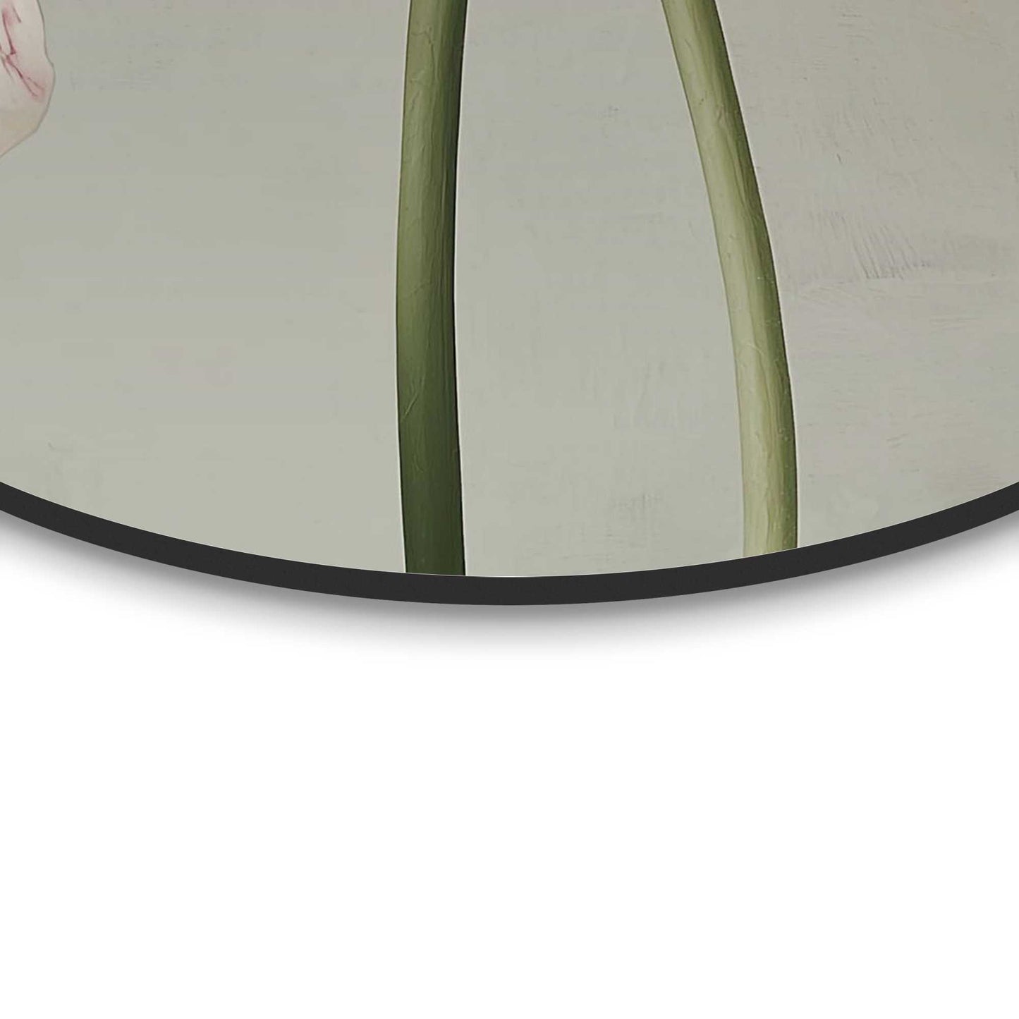 Circle Art Elegantly drawn tulips 50x50