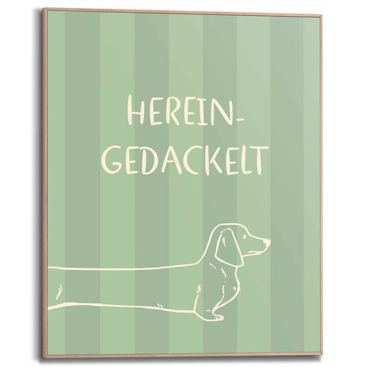 Framed Poster Little dachshund II 50x40