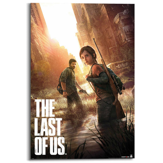Wall Art Panel The last of us 90x60