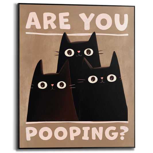 Framed Poster Curious cats 50x40