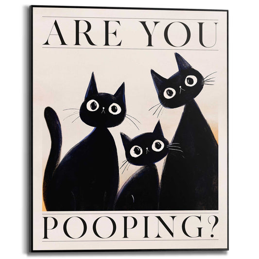 Framed Poster Cat company 50x40