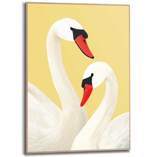 Framed Poster Swan couple 70x50