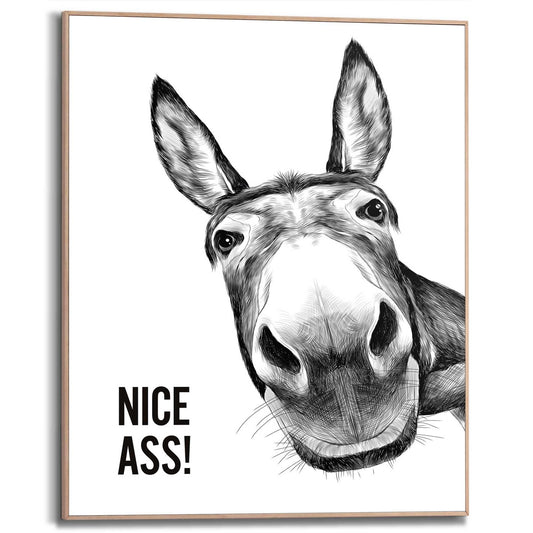 Framed Poster Cheeky donkey 50x40