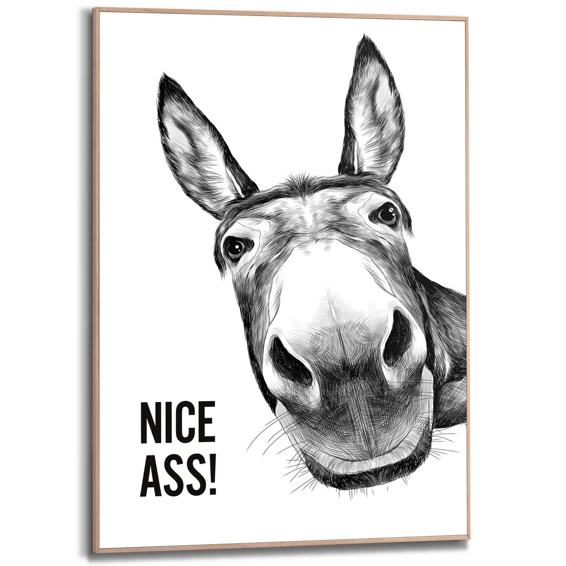 Framed Poster Cheeky donkey 70x50