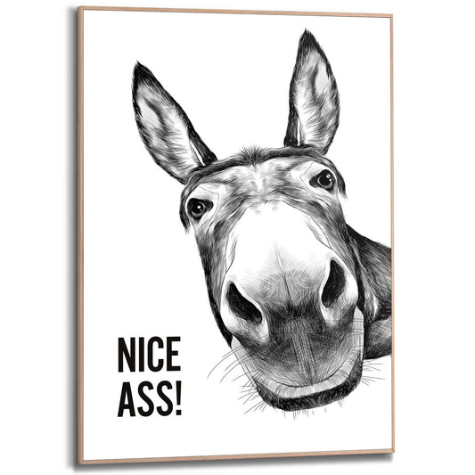 Framed Poster Cheeky donkey 70x50